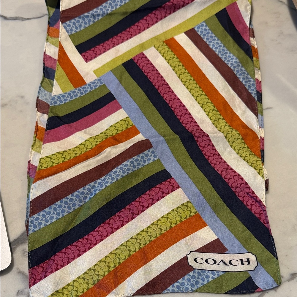 Coach Multicolor Striped Scarf